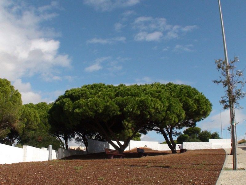 Cheerfulway Valmangude Jardim Apartamentos Albufeira Kültér fotó
